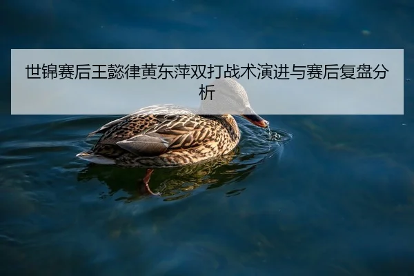 世锦赛后王懿律黄东萍双打战术演进与赛后复盘分析