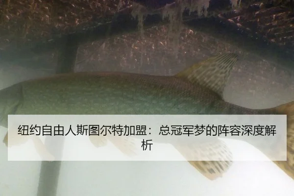 niu-yue-zi-you-ren-si-tu-er-te-jia-meng-zong-guan-jun-meng-de-zhen-rong-shen-du-jie-xi-2-408.jpg